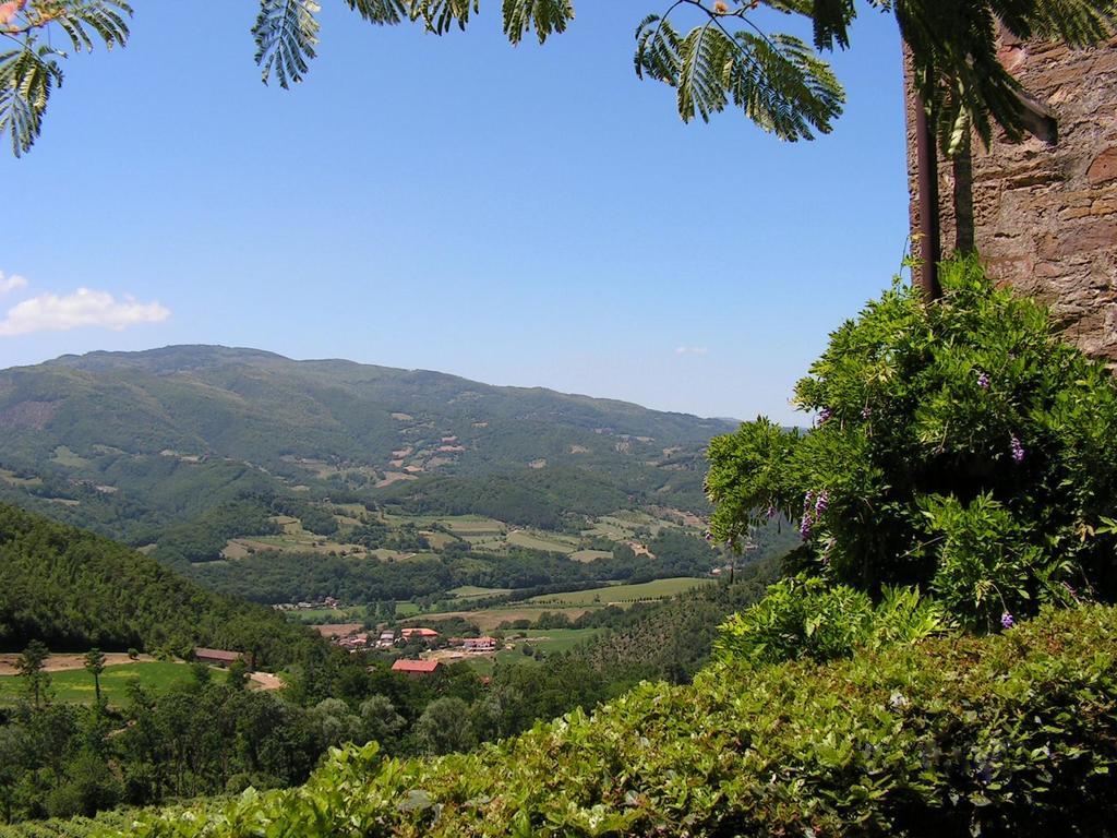 Fattoria Il Lago Dicomano Номер фото